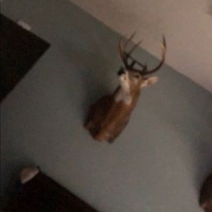 Meet your Posher, Logan